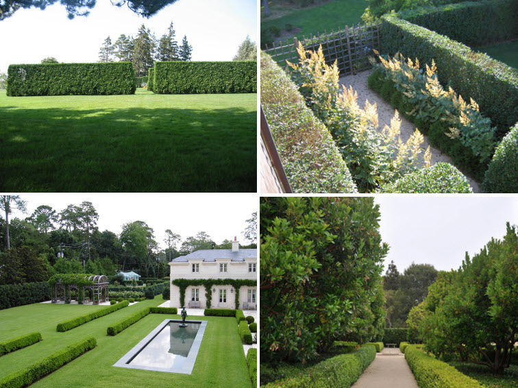 Deborah-Nevins_Pritzker_Farm_-Hedge