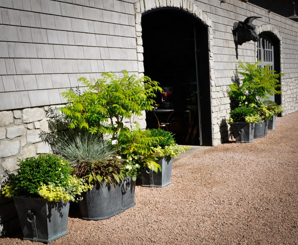 Thomas Hobbs private garden outside Vancouver, BC.  Thinking Outside the Boxwood