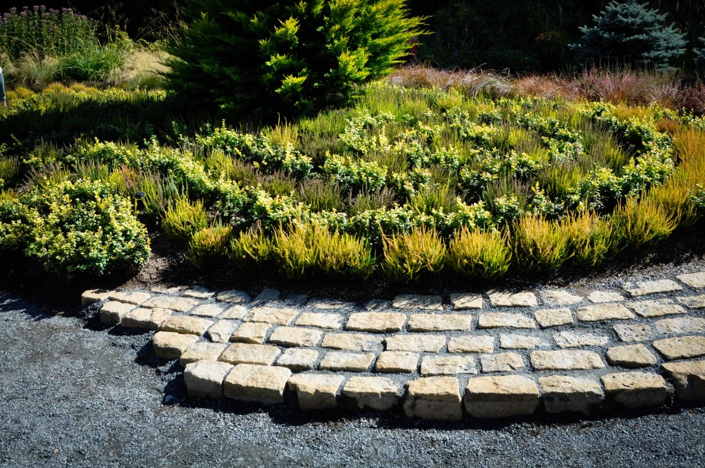 swirled heather planting and cobble stone, Thinking Outside the Boxwood