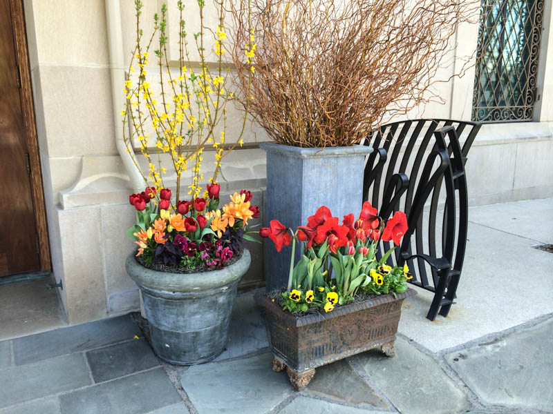 Thinking Outside the Boxwood, Toulouse-Lautrec inspired planters for Art In Bloom, Columbus Museum of Art