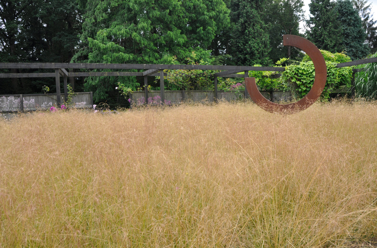 Deschampsia cespitosa  'Goldtau' at the garden of Mien Ruys : Kurt Bluemel - Horticultural Royalty Remembered -Thinking Outside the Boxwood, 