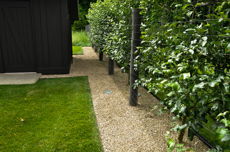 The Benefits of an Edge, Thinking Outside the Boxwood, Metal edging separating pea gravel and turf 