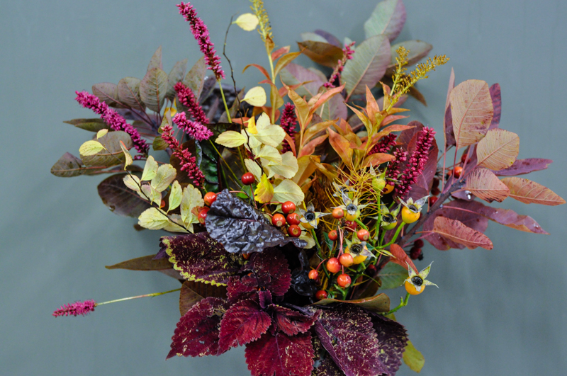 Arrangement of the week - October 27, 2014, Thinking Outside the Boxwood