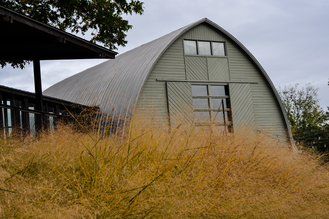 Yew Dell Botanical Garden Visit, Thinking Outside the Boxwood, Modern Barn