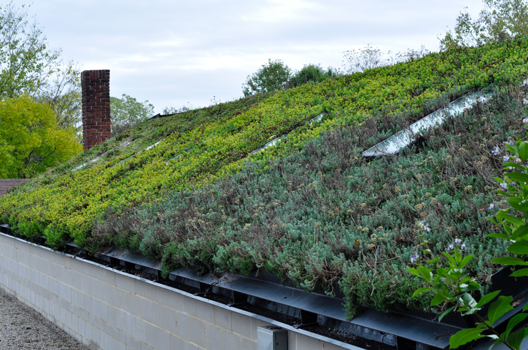 Yew Dell Botanical Garden Visit, Thinking Outside the Boxwood, Geenhouse Greenroof