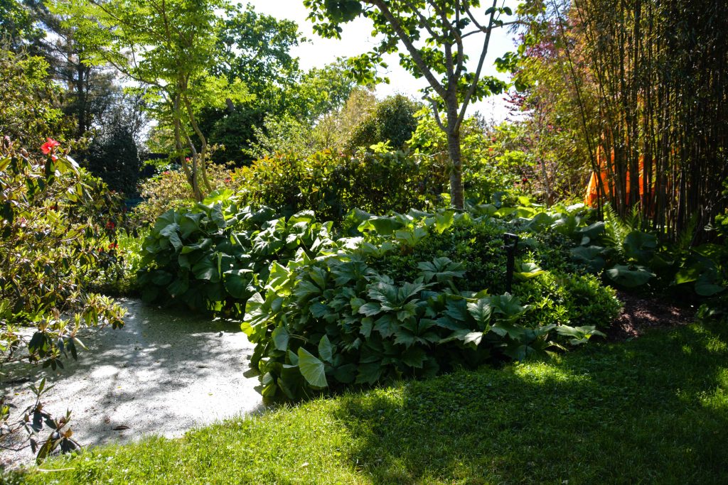 Sakonnet Garden. Little Compton, RI Designed and Maintained by John Gwynne and Mikel Folcarelli Photographic tour from Thinkingoutsidetheboxwood.com