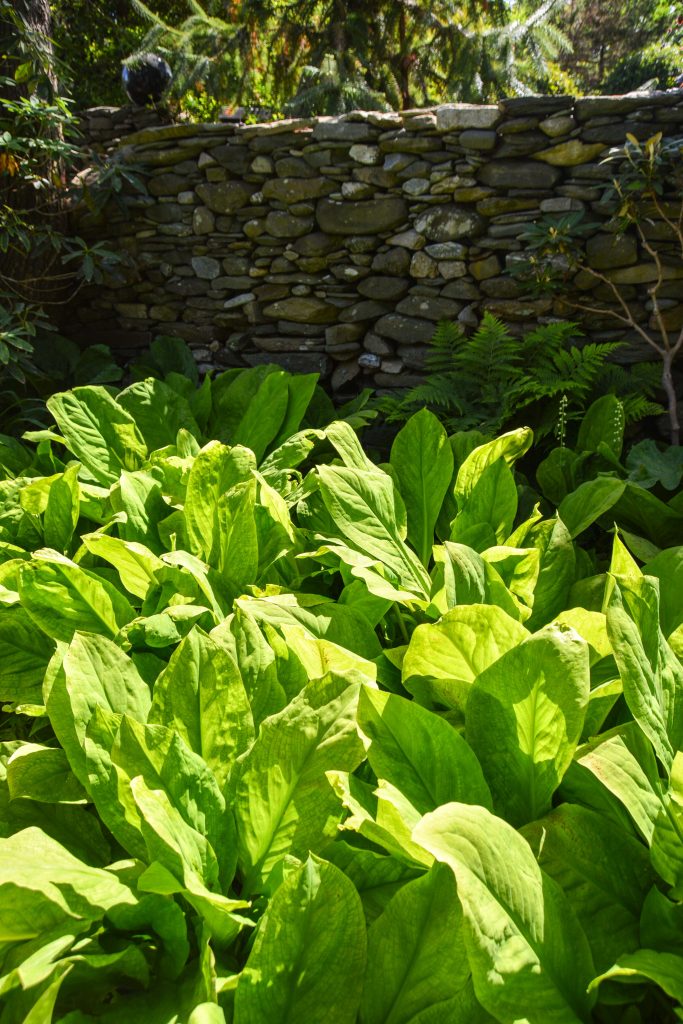 Sakonnet Garden. Little Compton, RI Designed and Maintained by John Gwynne and Mikel Folcarelli Photographic tour from Thinkingoutsidetheboxwood.com