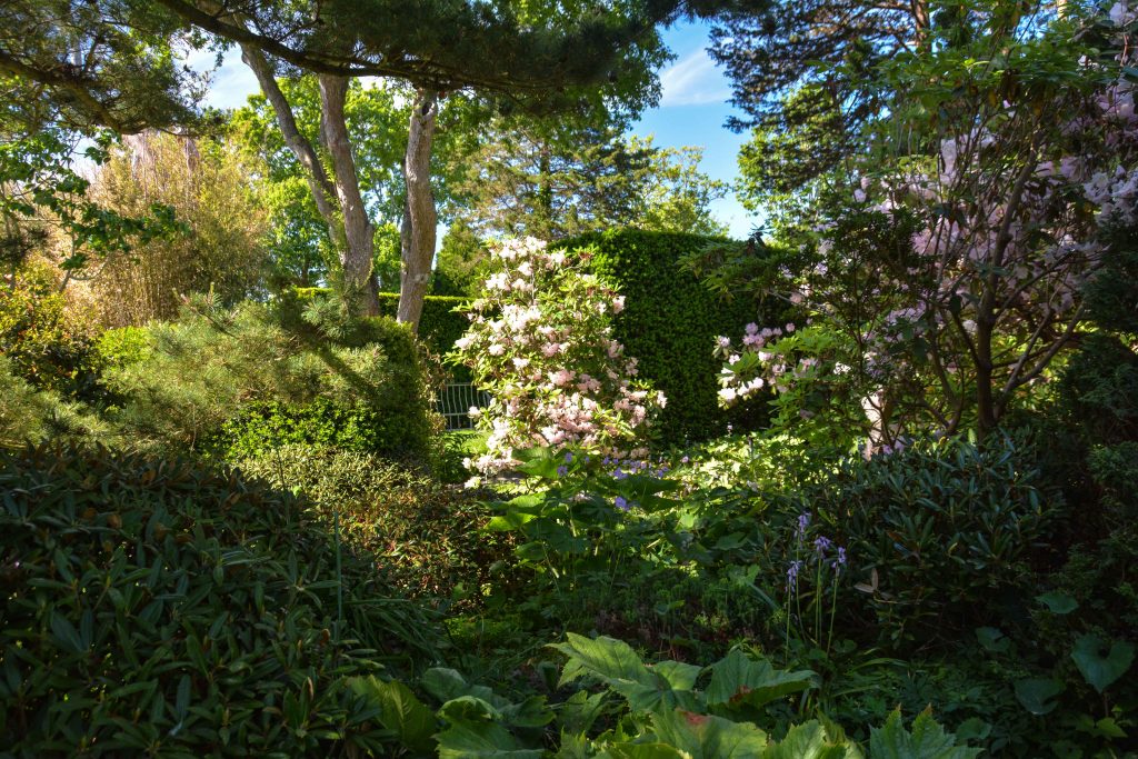 Sakonnet Garden. Little Compton, RI Designed and Maintained by John Gwynne and Mikel Folcarelli Photographic tour from Thinkingoutsidetheboxwood.com