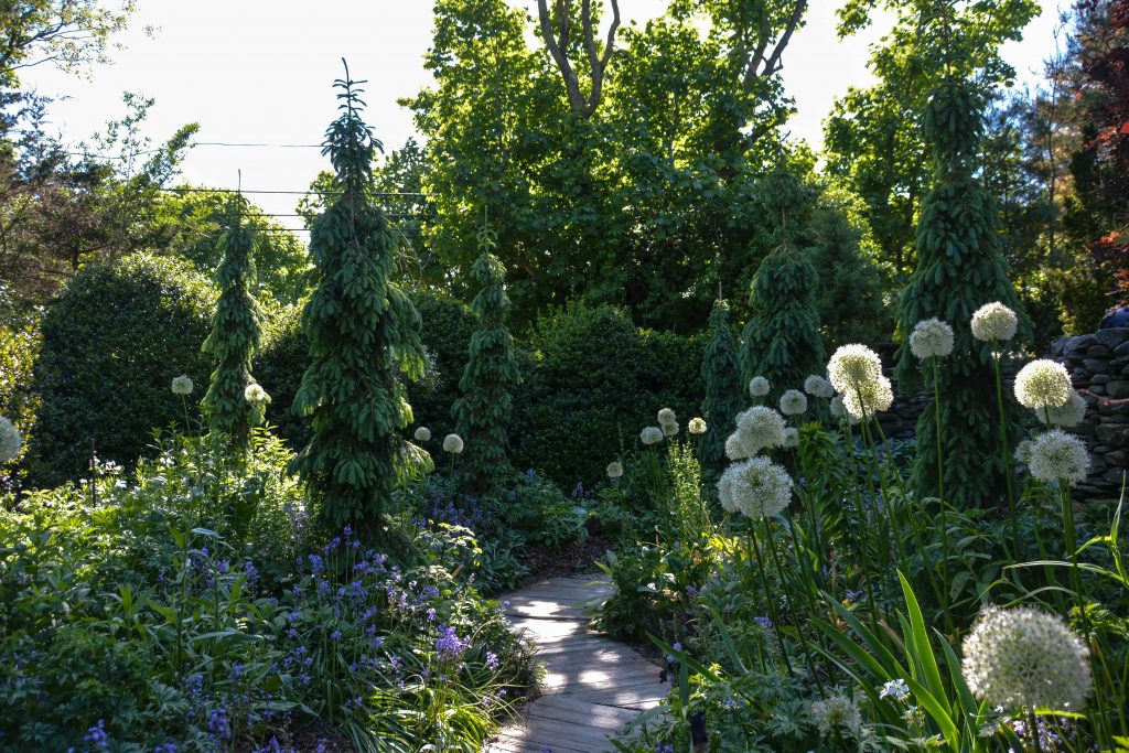 Sakonnet Garden. Little Compton, RI Designed and Maintained by John Gwynne and Mikel Folcarelli Photographic tour from Thinkingoutsidetheboxwood.com