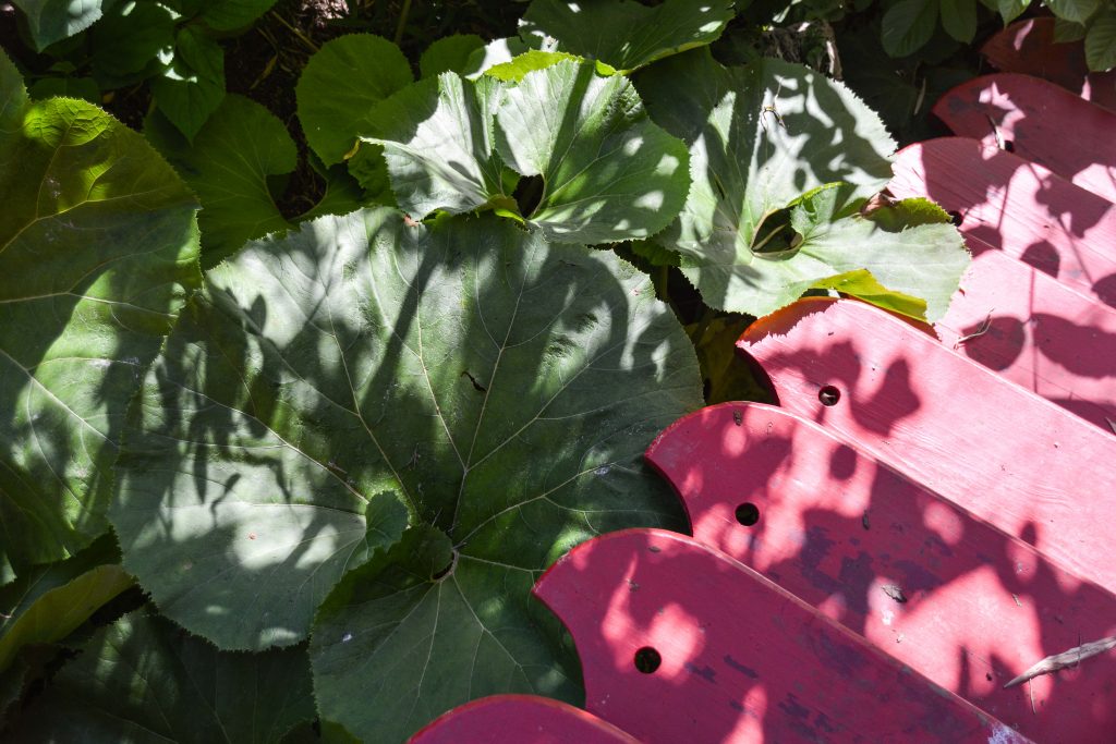 Sakonnet Garden. Little Compton, RI Designed and Maintained by John Gwynne and Mikel Folcarelli Photographic tour from Thinkingoutsidetheboxwood.com