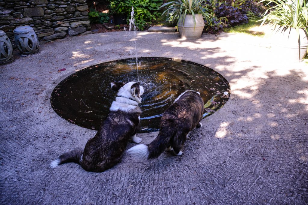 Sakonnet Garden. Little Compton, RI Designed and Maintained by John Gwynne and Mikel Folcarelli Photographic tour from Thinkingoutsidetheboxwood.com