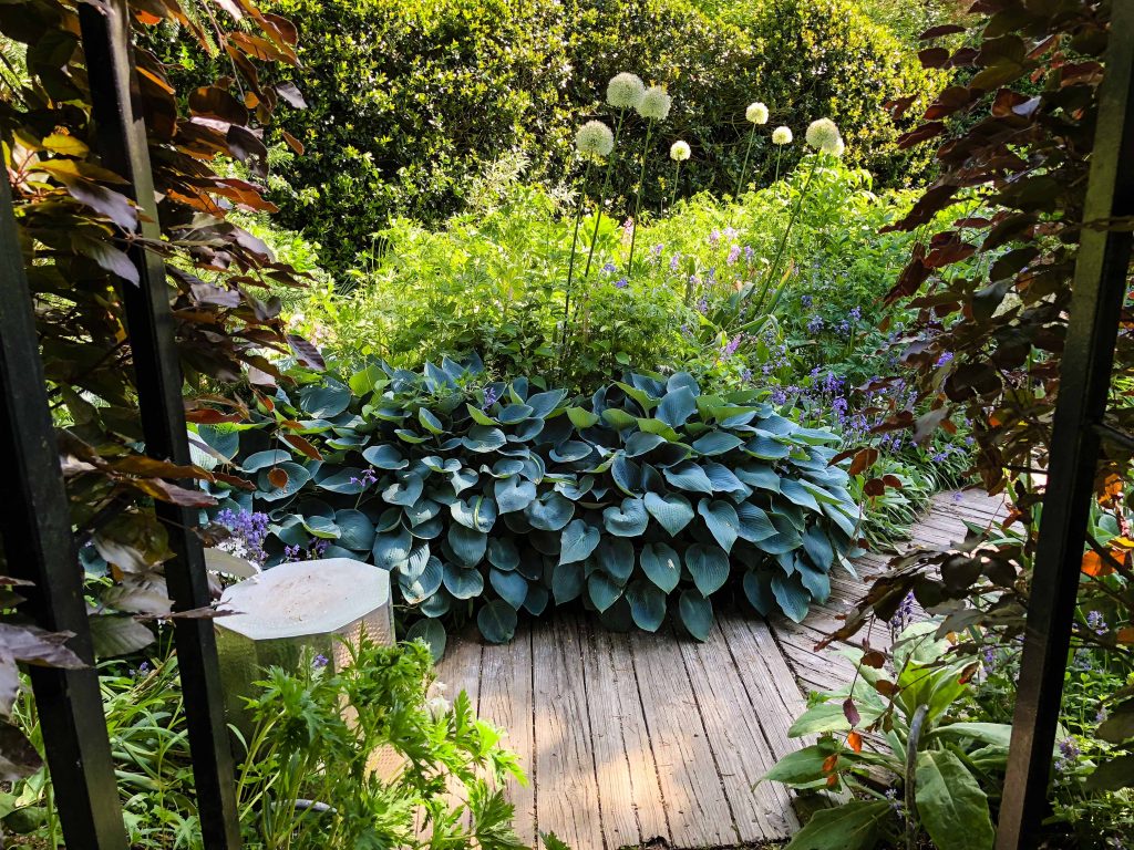 Sakonnet Garden. Little Compton, RI Designed and Maintained by John Gwynne and Mikel Folcarelli Photographic tour from Thinkingoutsidetheboxwood.com