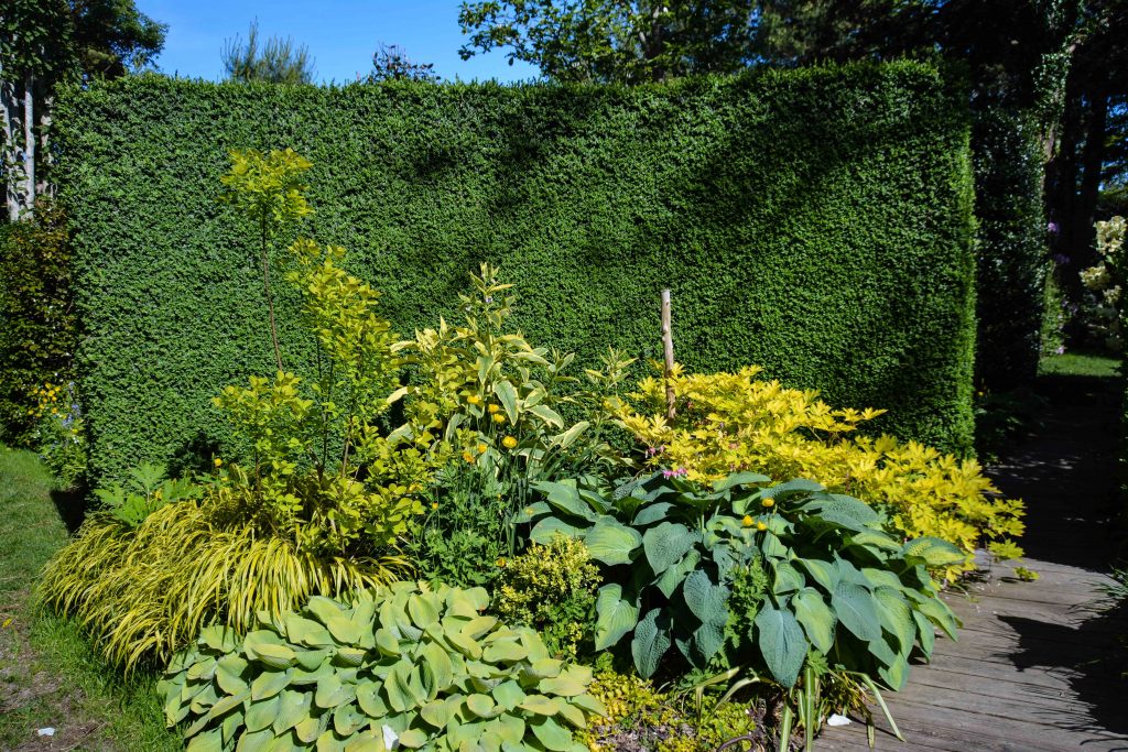 Sakonnet Garden. Little Compton, RI Designed and Maintained by John Gwynne and Mikel Folcarelli Photographic tour from Thinkingoutsidetheboxwood.com