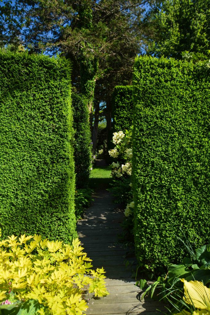 Sakonnet Garden. Little Compton, RI Designed and Maintained by John Gwynne and Mikel Folcarelli Photographic tour from Thinkingoutsidetheboxwood.com