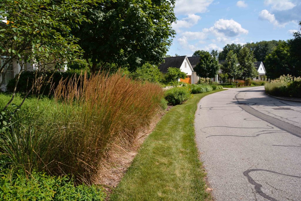 South Franklin Circle Chagrin Falls Ohio. Mass perennial plantings in a retirement community. Thinking Outside the Boxwood