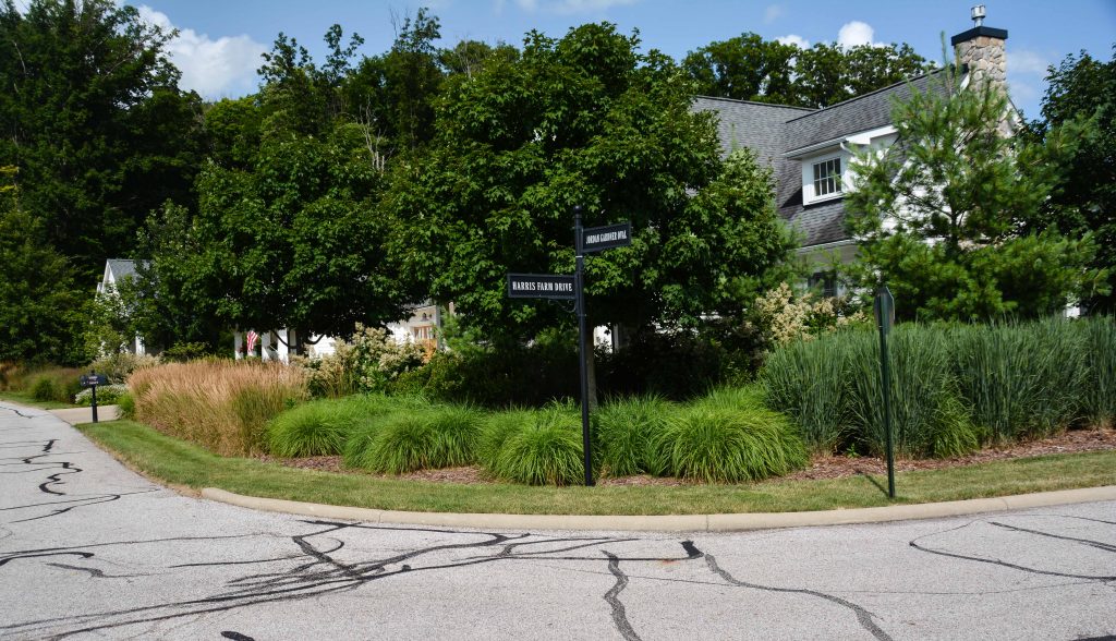 South Franklin Circle Chagrin Falls Ohio. Mass perennial plantings in a retirement community. Thinking Outside the Boxwood