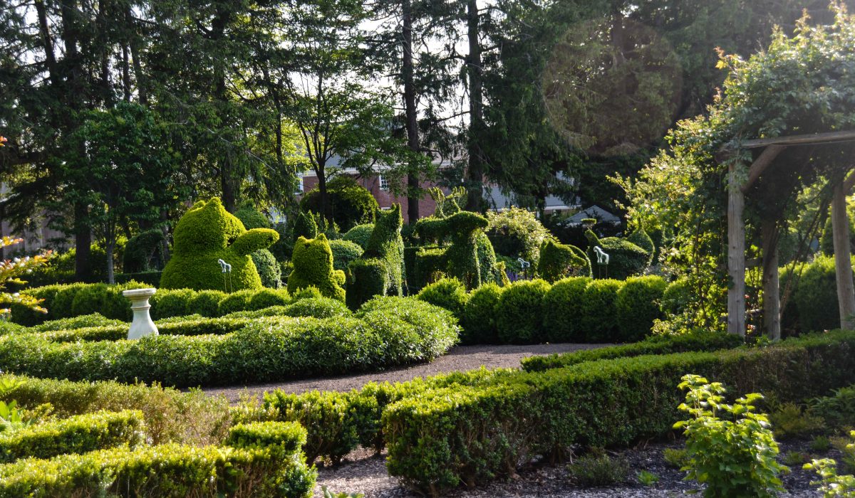 Green Animals - Topiary Garden in Rhode Island - Garden Tour from Thinking Outside the Boxwood
