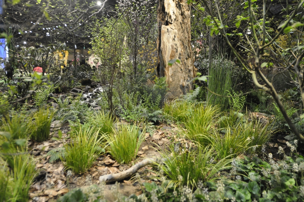 2014 Award Winning Display Garden by Stoney Bank Nurseries at the Philadelphia Flower Show. Thinking Outside the Boxwood.