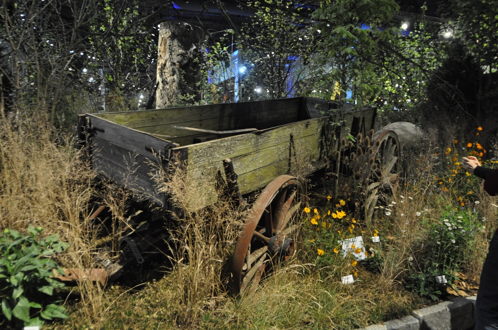 2014 Award Winning Display Garden by Stoney Bank Nurseries at the Philadelphia Flower Show. Thinking Outside the Boxwood.