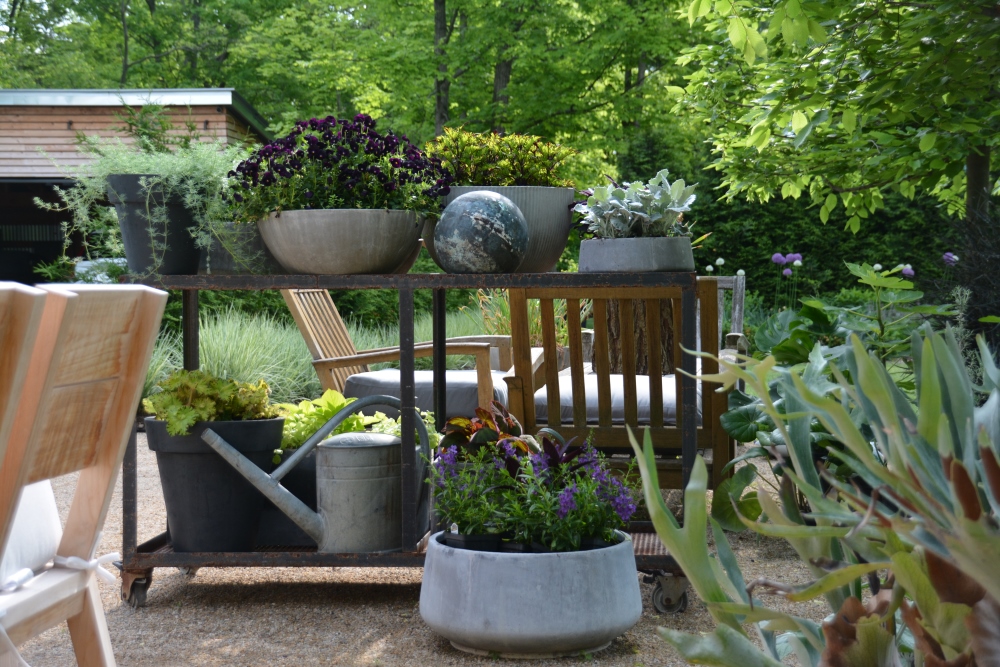 Curated collection of mono plant container designs creating a room divider in the garden. Thinking Outside the Boxwood