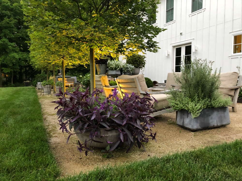 Container groupings around the edges of the patio space soften the transitions. Thinking Outside the Boxwood