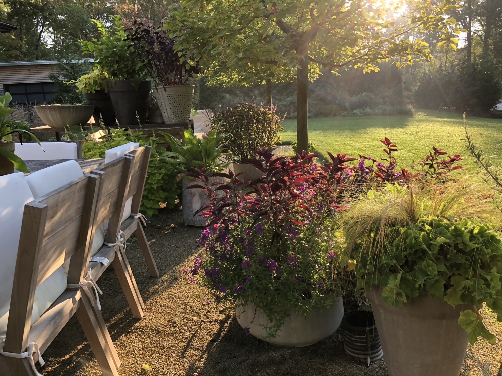 Container groupings around the edges of the patio space soften the transitions. Thinking Outside the Boxwood