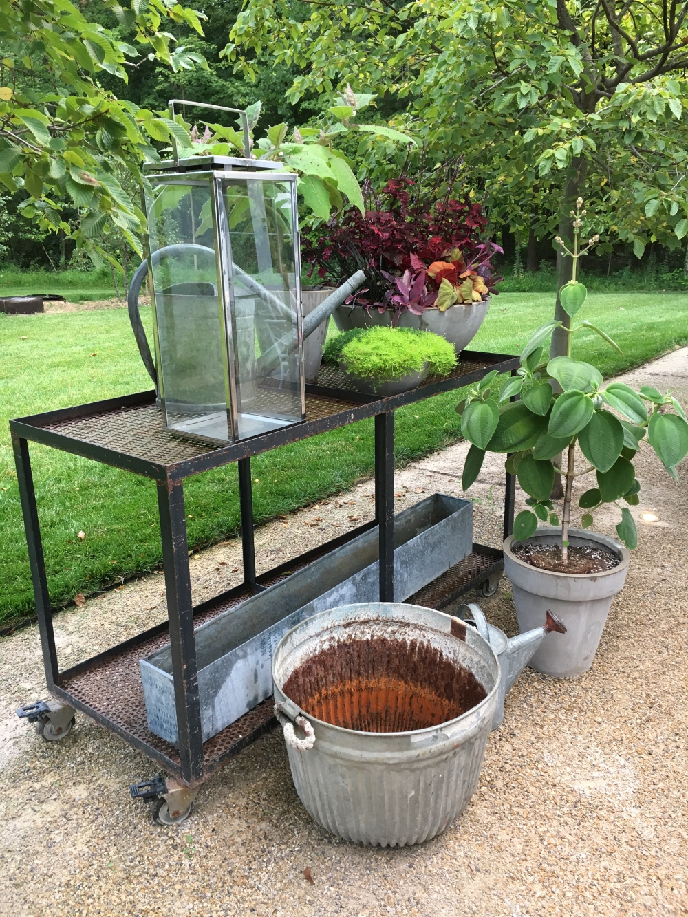 Garden Trolley for displaying plants on patio space for creating a lush small space garden. Thinking Outside the Boxwood