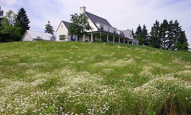 Swing for the Fences, Thinking Outside the Boxwood