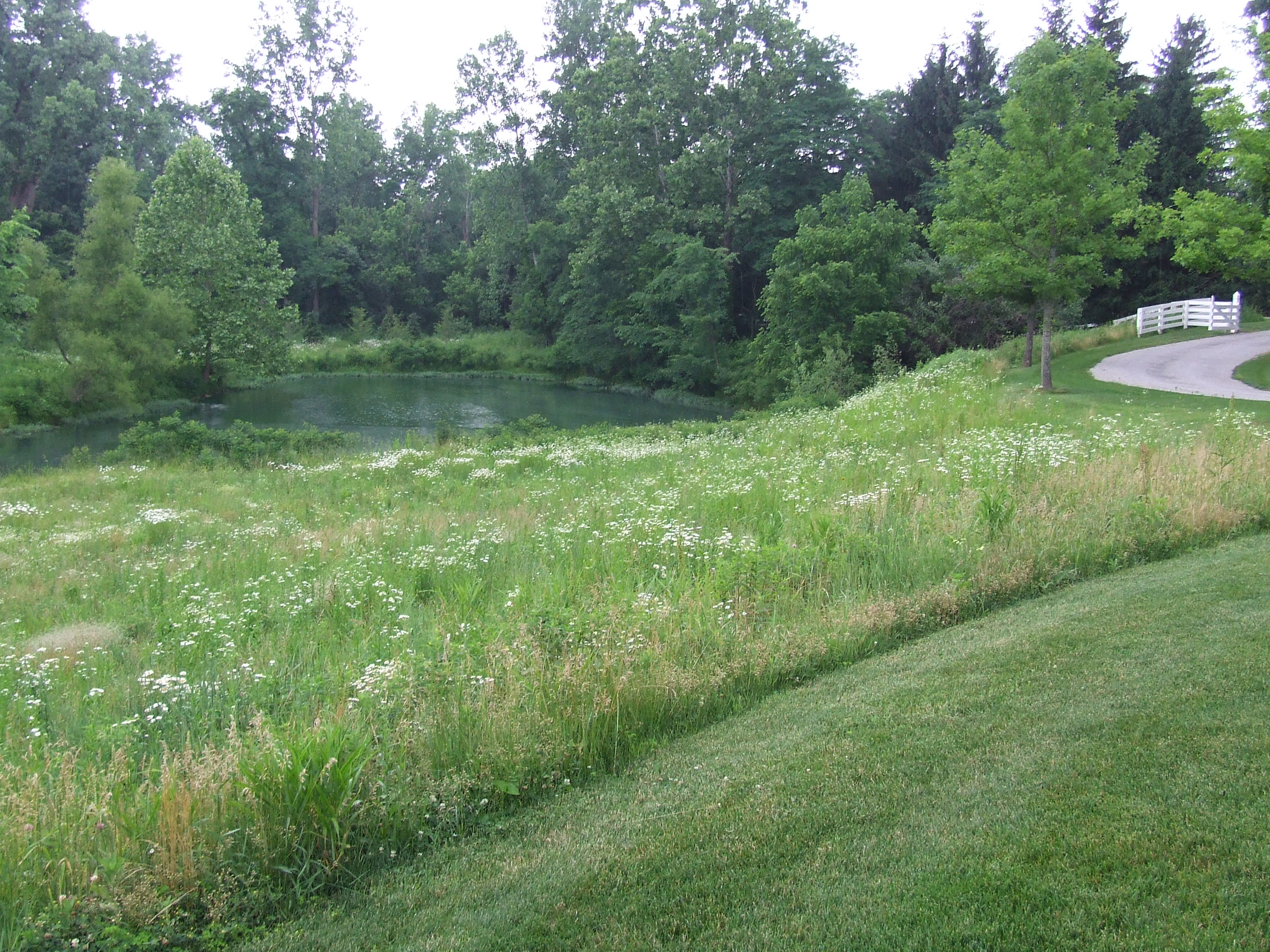 Swing for the Fences, Thinking Outside the Boxwood