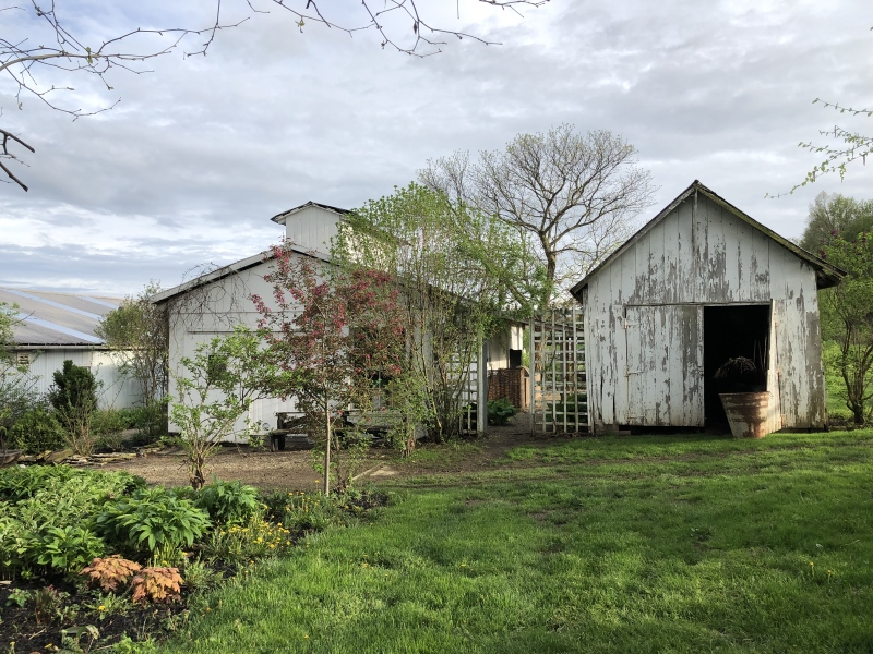 The Rural Society May Sale, Roaming the buildings. Thinking Outside the Boxwood