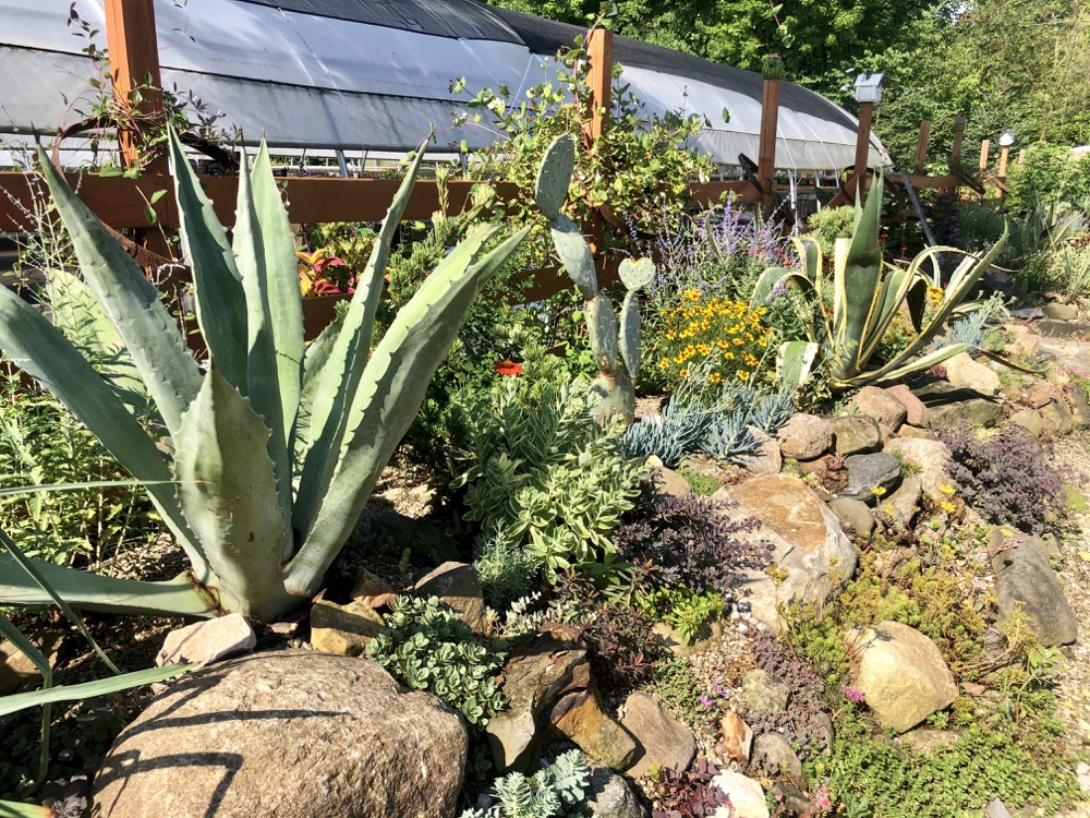 Groovy Plants Ranch. The Garden Designer's Guide to Columbus Ohio. Gardens, Restaurants, shops and sites to see from the perspective of a garden designer. Thinking Outside the Boxwood