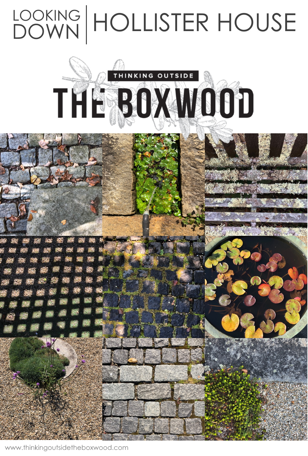 The Traveling Garden Designer - Hollister House Looking down | Thinking Outiside the Boxwood