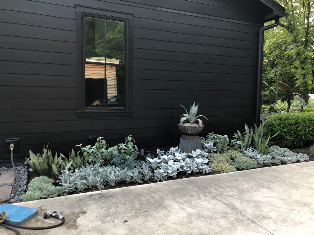 Summer Silver Garden | Thinking Outside the Boxwood | Design by Nick McCullough