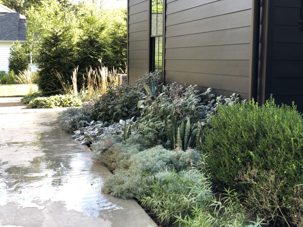 Summer Silver Garden | Thinking Outside the Boxwood | Design by Nick McCullough