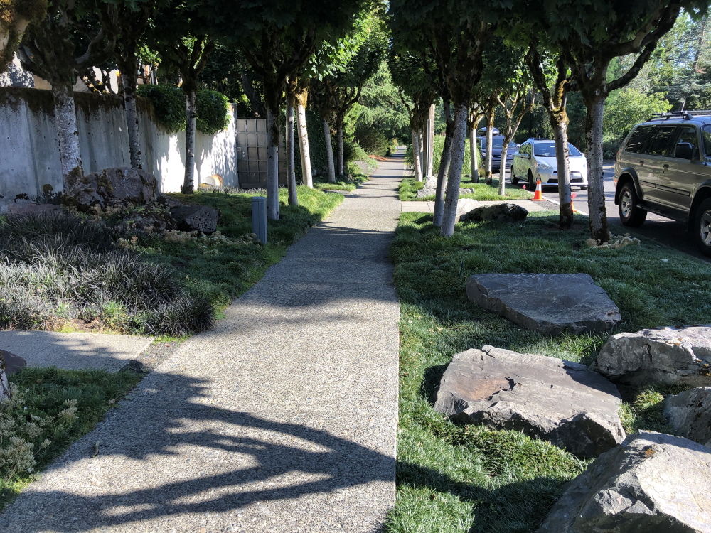 The Traveling Gardener - Coast to Coast. Garden visits in Seattle and Maine (with a few in between). Thinking Outside the Boxwood