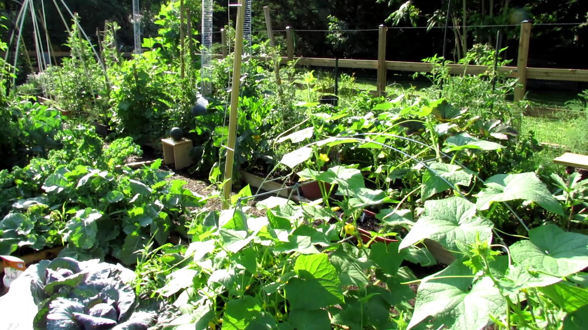 The Rusted Garden - resource for being a sucessful vegetable gardener - Gary Pilarchik - Sources for Edible gardening - Thinking Outside the Boxwood