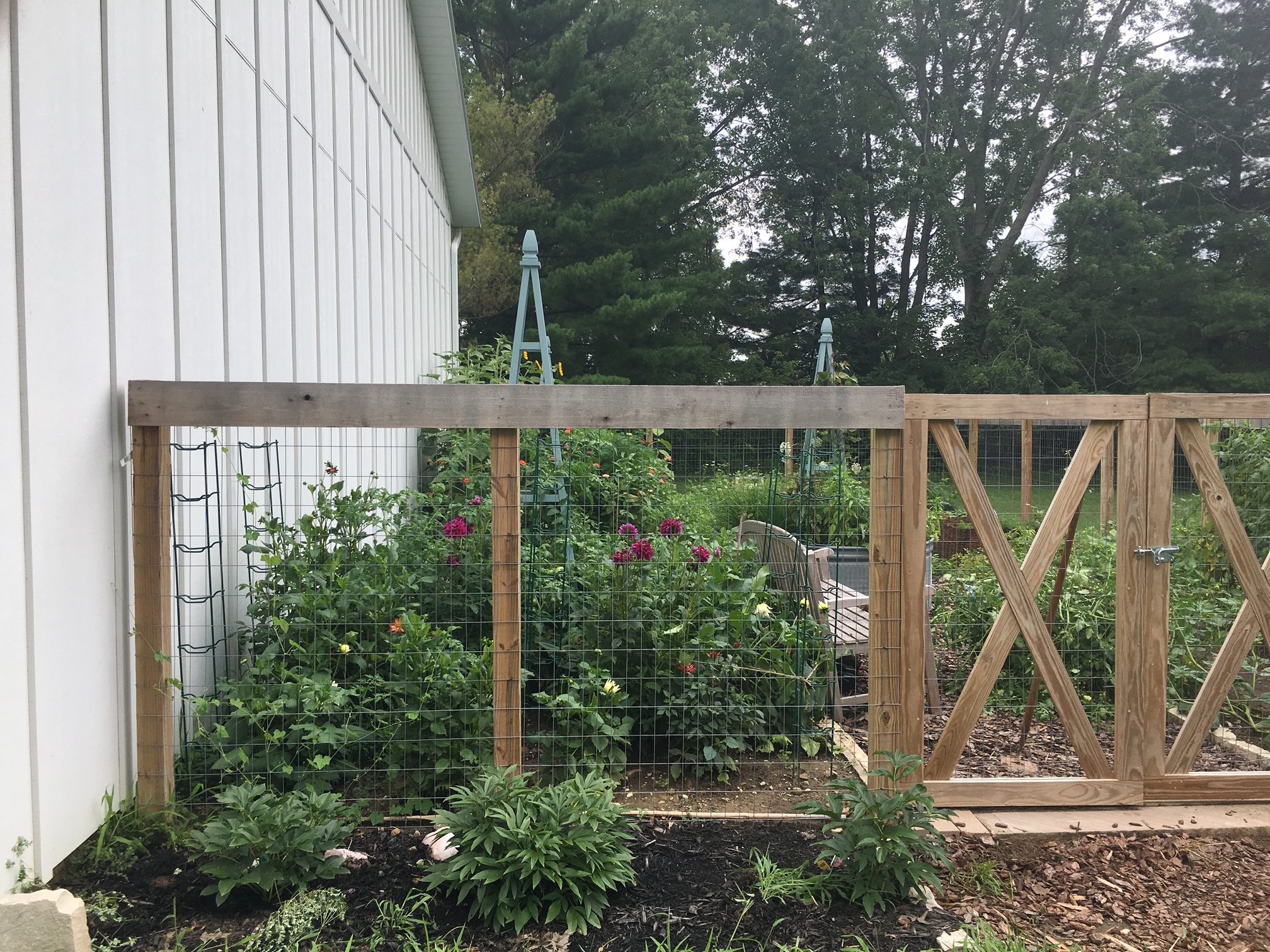 Our Veggie Garden at Home - Thinking Outside the Boxwood