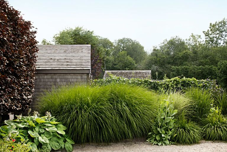 Sean Conway's Cultivating Life - Great Resource for Gardening Projects at Home. Thinking Outside the Boxwood. Images from Country Living Magazine (photos - Lisa Hubbard)