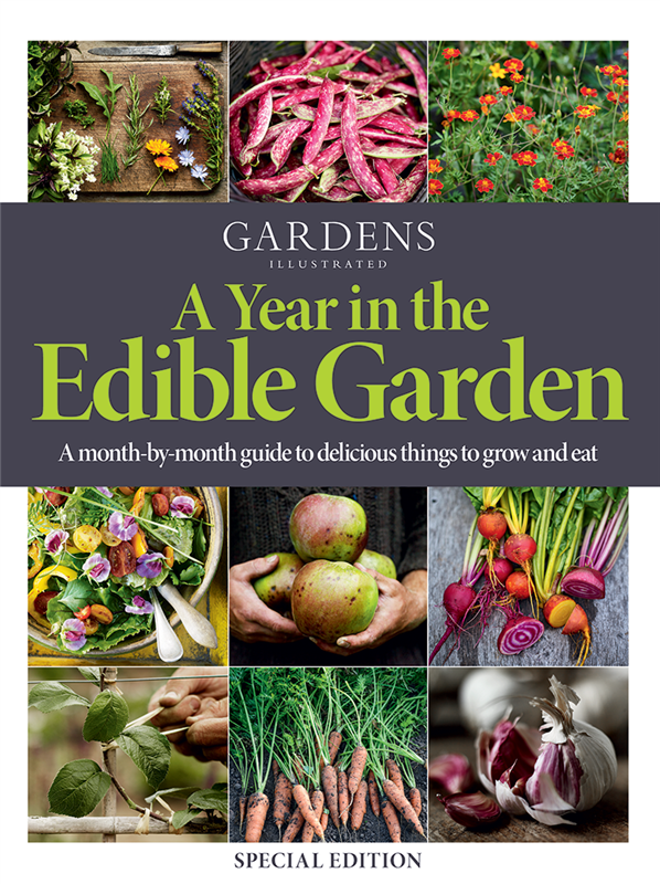 Garden Illustrated A Year in the Edible Garden - Great Resources for Edible Gardening - Thinking Outside the Boxwood