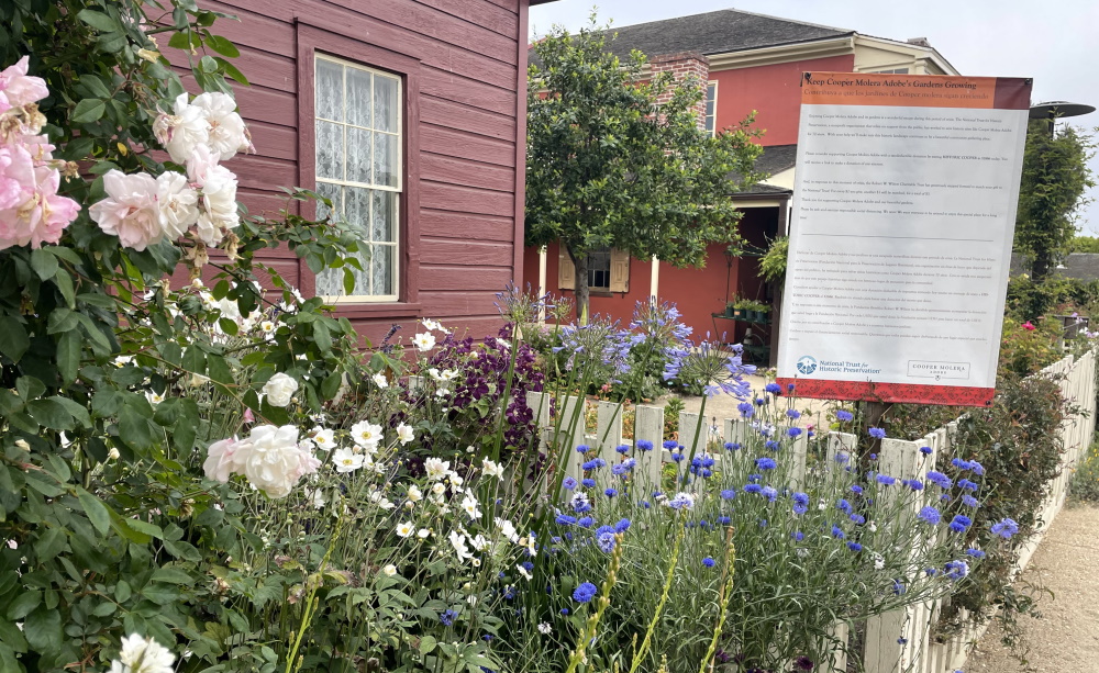 Traveling Gardener – Cooper Molera Abode Gardens in Monterey. Thinking Outside the Boxwood