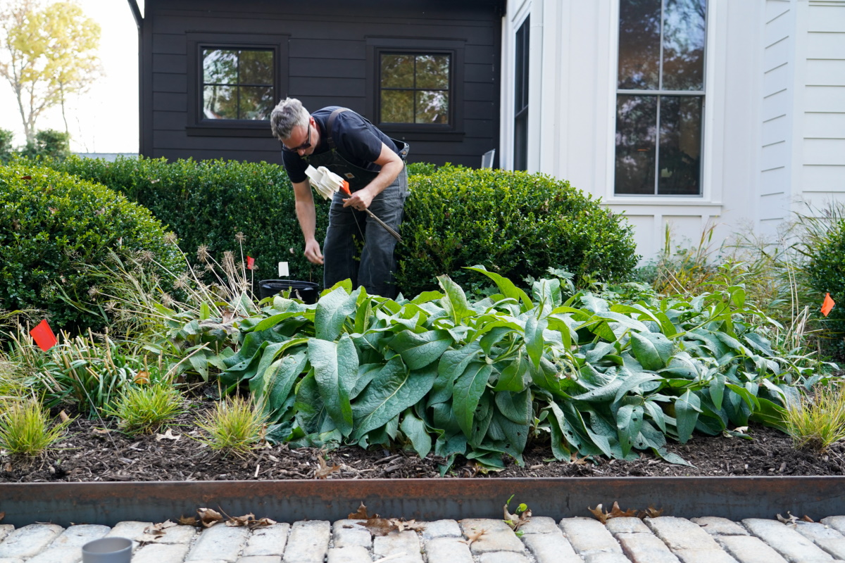 How to plant fall bulbs in the garden from Thinking Outside the boxwood.