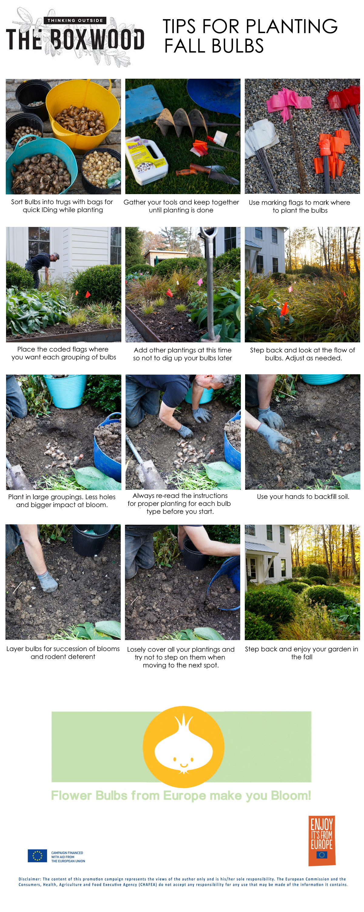 How to plant fall bulbs in the garden from Thinking Outside the boxwood.
