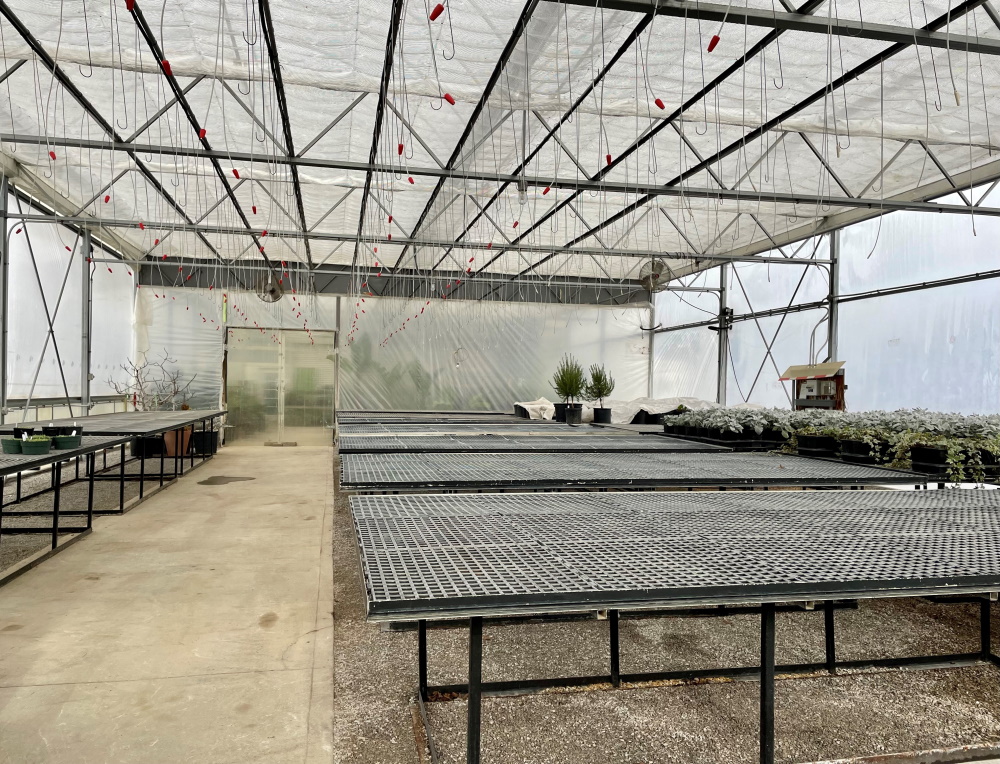 Inside McCullough's Landscape & Nursery Greenhouses