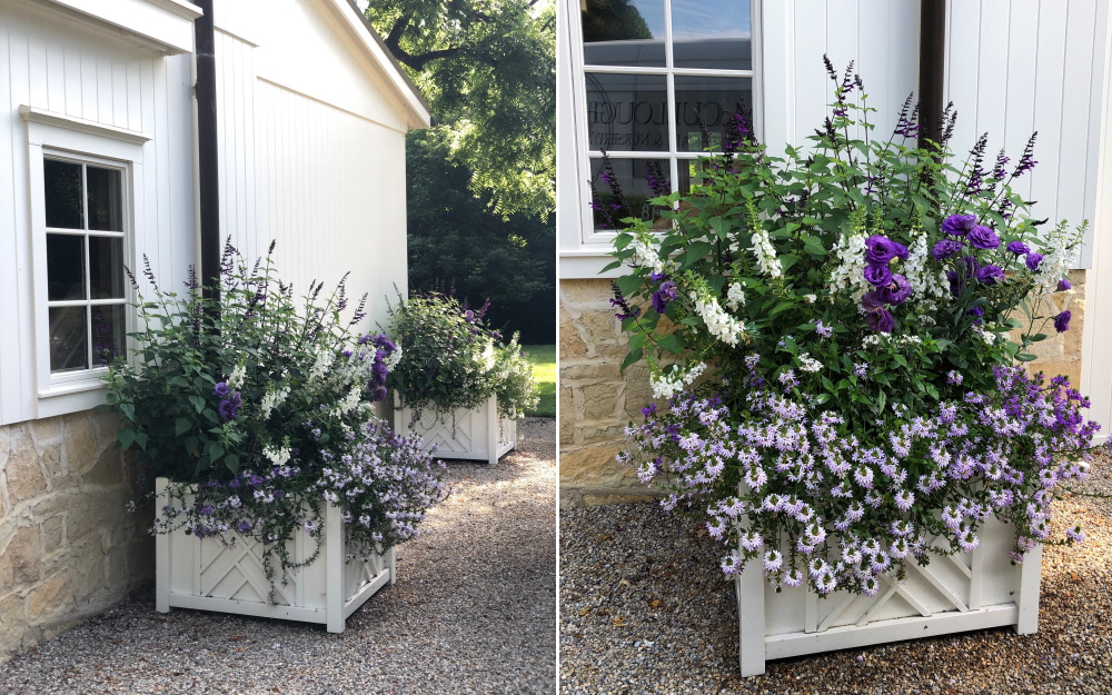 Inside McCullough's Landscape & Nursery Greenhouses - The finished product of our annual production