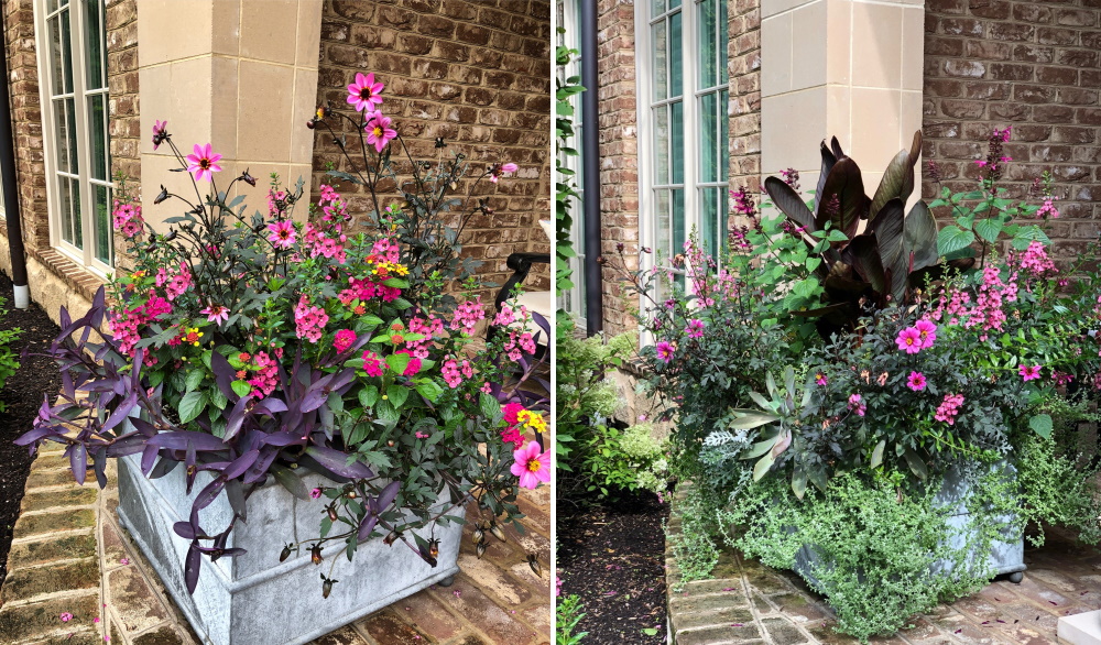 Inside McCullough's Landscape & Nursery Greenhouses - The finished product of our annual production