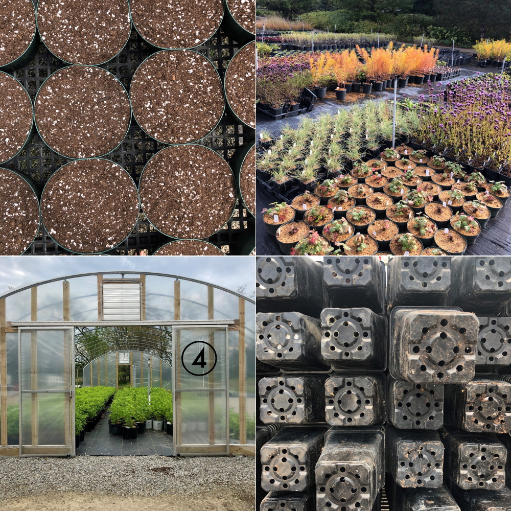 Inside McCullough's Landscape & Nursery Greenhouses