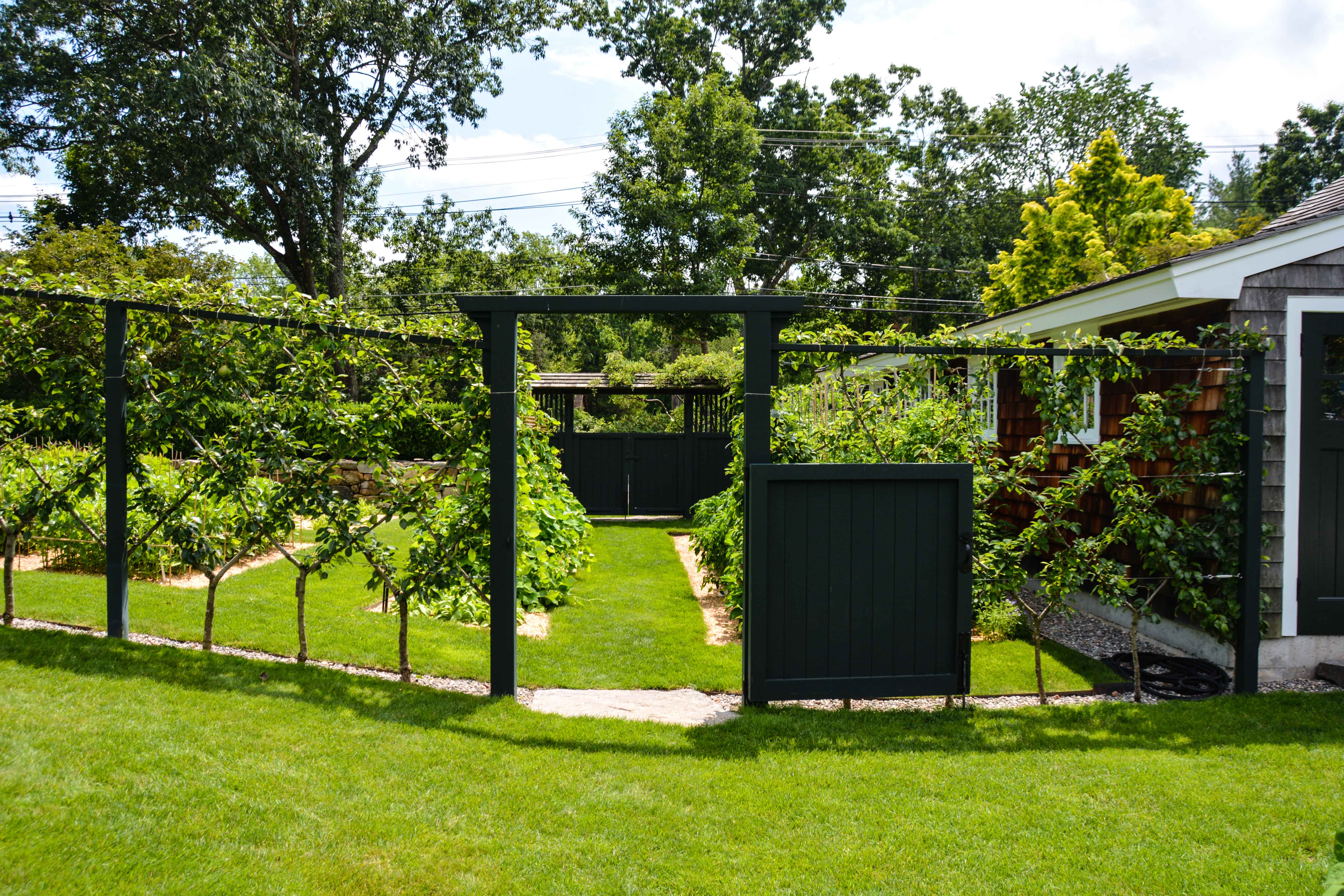 GARDEN TOURS Gardens at Clock Barn Thinking Outside the Boxwood
