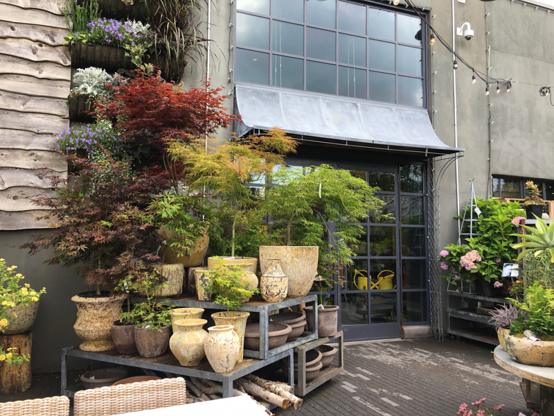 A Visit to Terrain in Westport, CT Thinking Outside the Boxwood